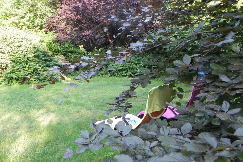 Zwei-Zimmer-Wohnung mit Wintergarten - foto 12