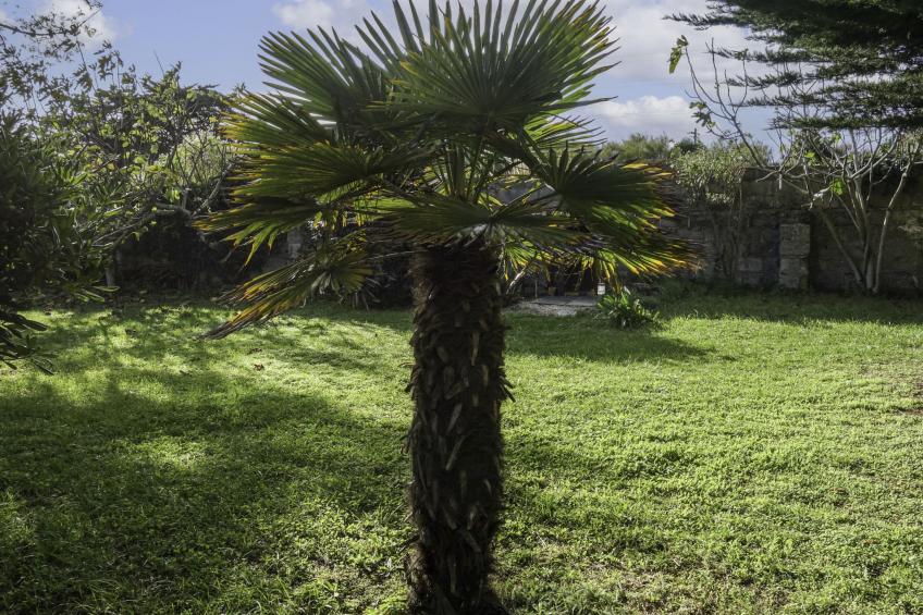 Maison Rose - foto 23