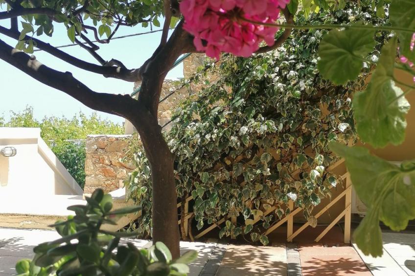 Wohnung "Zitronenbaum-Terrasse" - foto 16