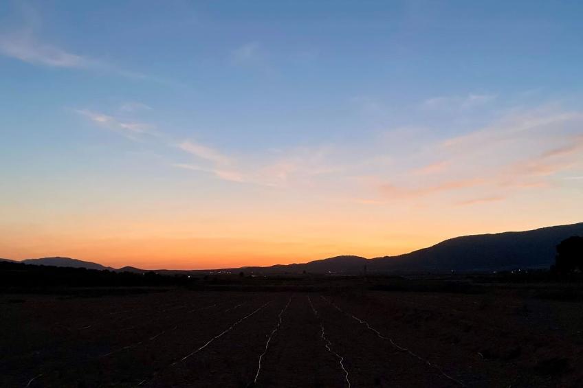 Casa Rural Ubeda - foto 11