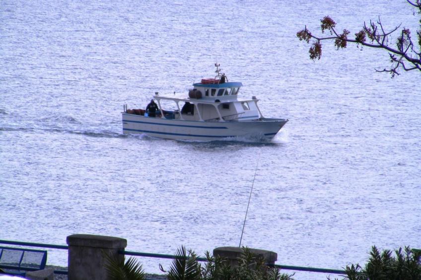 mit Terrasse, Garten und Grill - foto 31