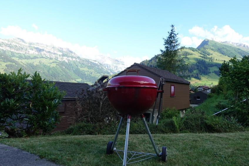 Bergperle Ferienhaus, Dusche, WC, Terrasse Ferienhaus, Dusche, WC, Terrasse - foto 11