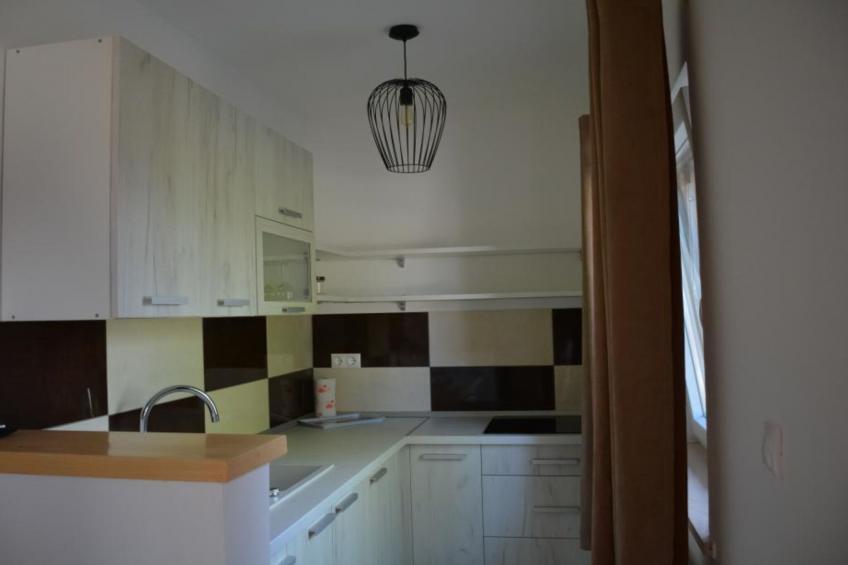 Zevnik Quiet Retreat with Stunning Views and Equestrian Activities - One Bedroom Apartment - foto 10