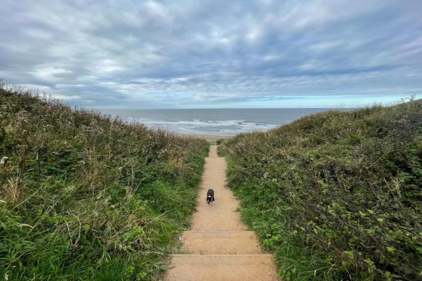 Ingleside Cottage - foto 39