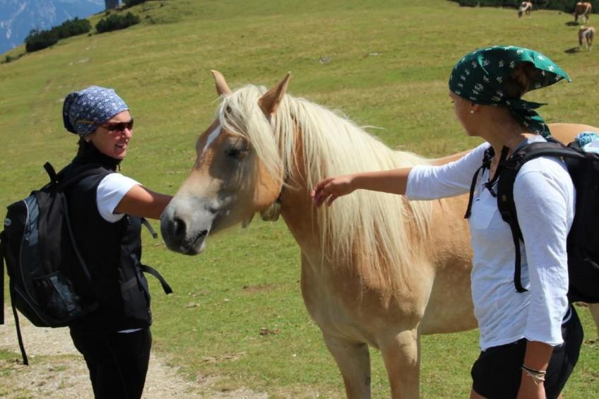 Fewo Zugspitze - foto 27