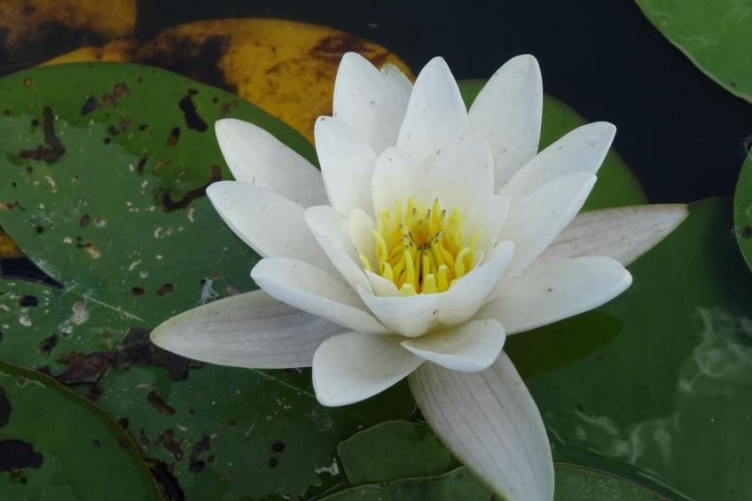 Fh "Molkenberg" - foto 26