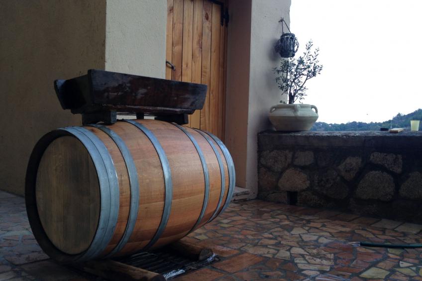 in Badolato Marina - foto 44