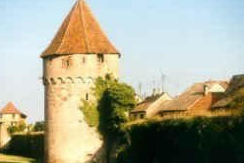 La Maison Bleue im Zentrum des Elsass in Bergheim - foto 14