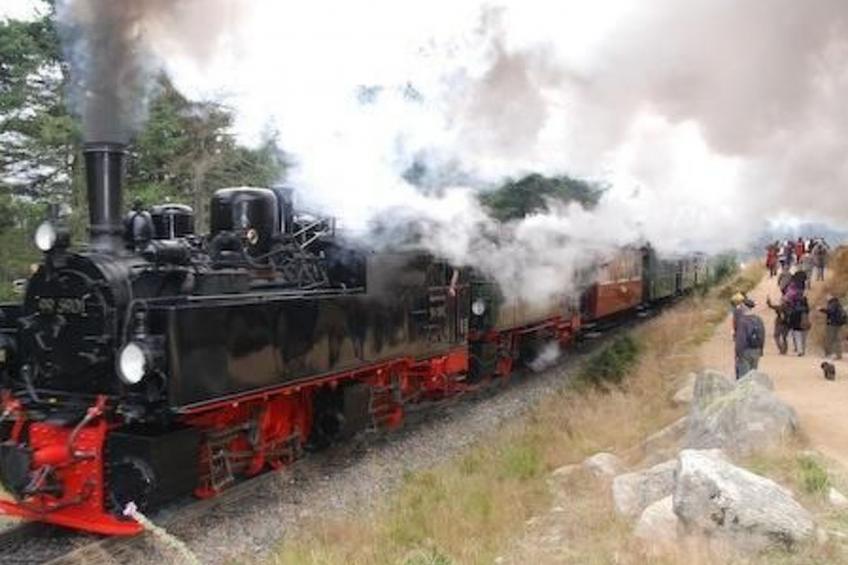 Wohnung in Bad Harzburg mit Garten - foto 11