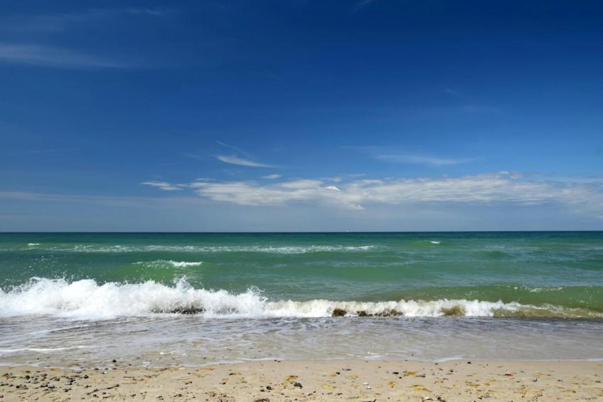 Ferienhaus Küstenwald klein - Strandhotel Fischland - foto 30
