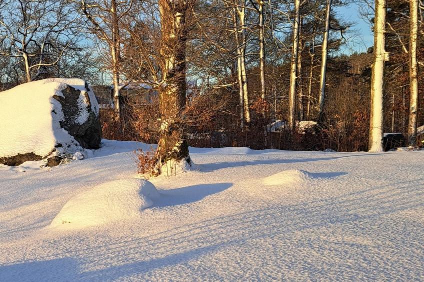 Schwedisches Glück, zwischen Wäldern und einem See - foto 16