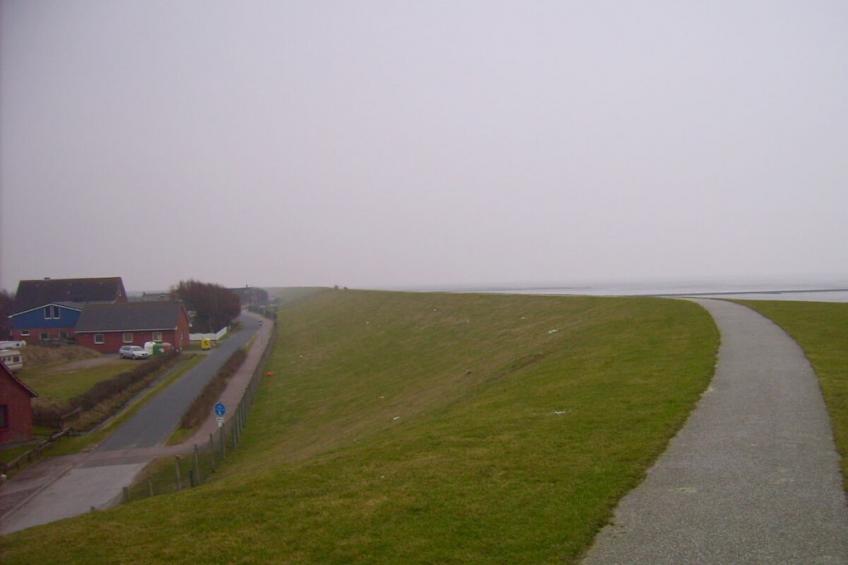 41005 - foto 16