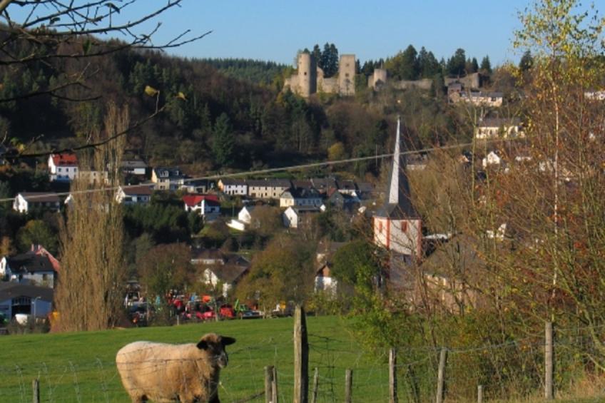 Haus 1  - Typ C (kombiniert) - foto 27