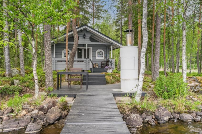 Tervapääsky - foto 4