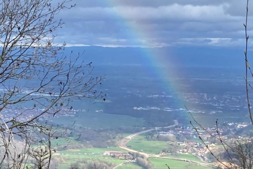 Gite des Cerisiers - foto 18