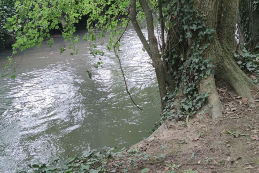 Gesellige Momente in der Nähe von Disneyland Paris - foto 15