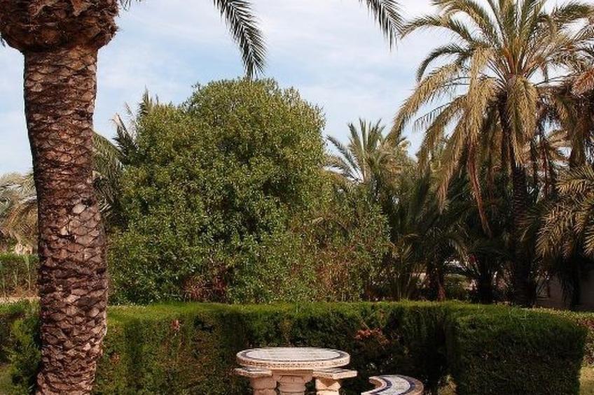 Violeta 17 - foto 129