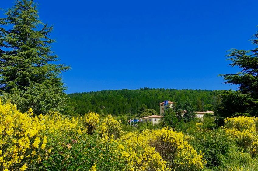 Genießen Sie die Ruhe und den Frieden der Provence - foto 2
