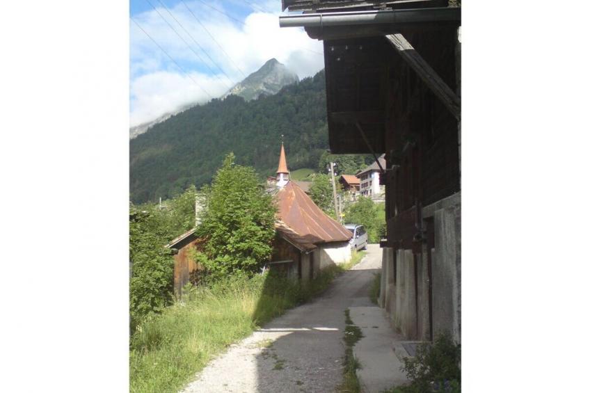 203244 - foto 7