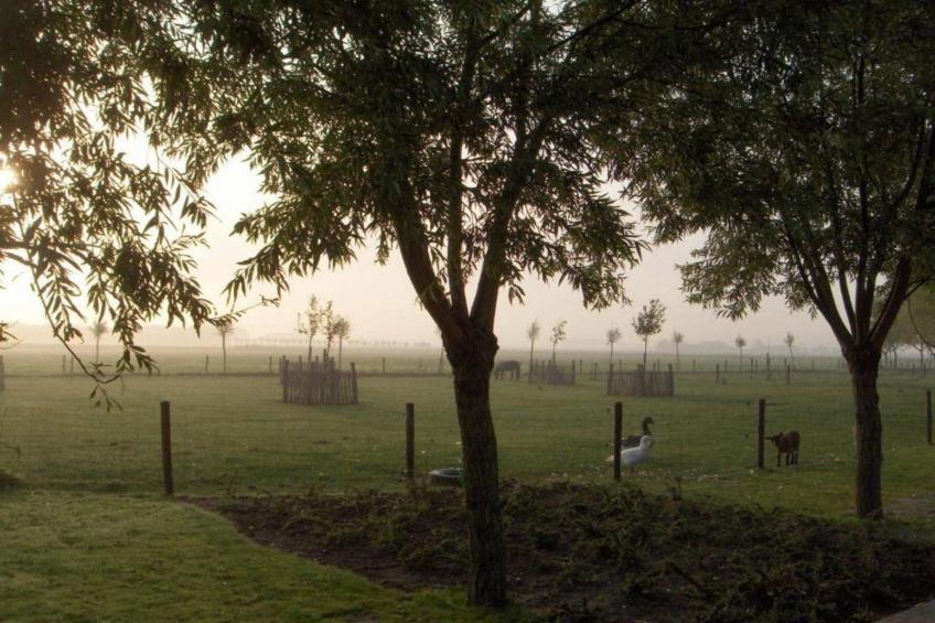 Residence SOLE MARE-21 - foto 38