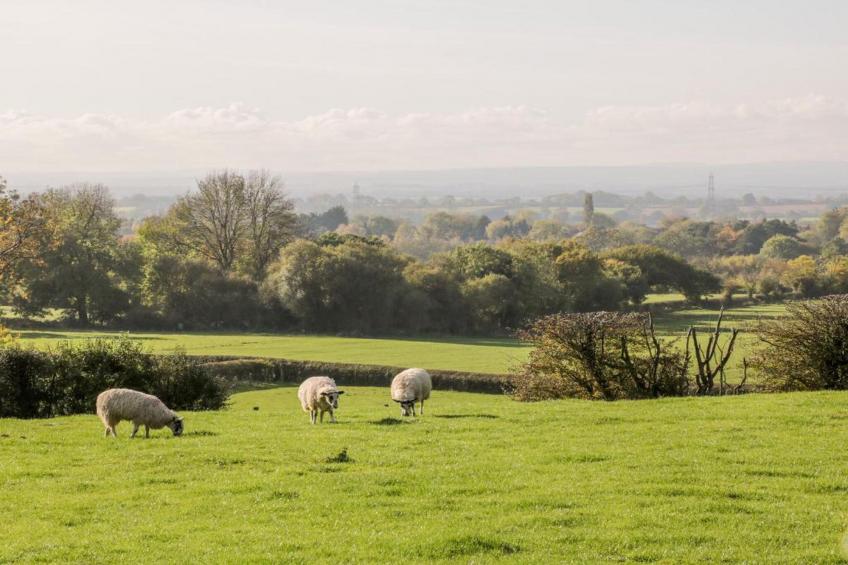 Rosedale Hall Cottage - foto 33