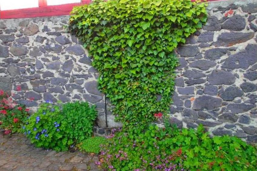 in Bernsfeld mit großem Garten - foto 13