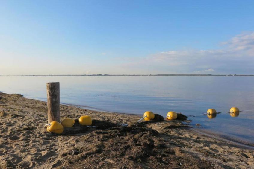 Standaard 207 - foto 14