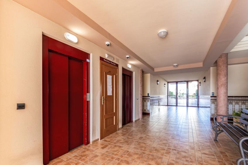 Delicias B - foto 23