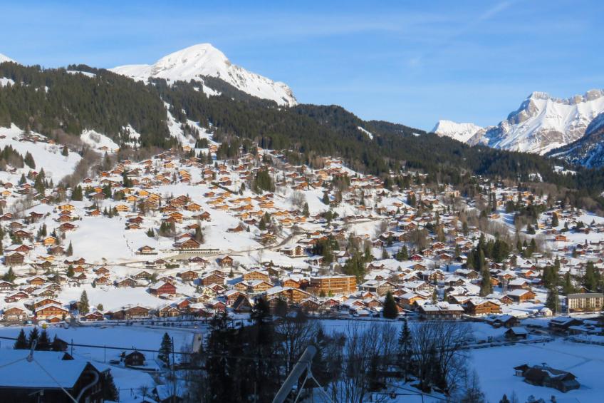 "Chalet de Bois" Süd herrliche Aussicht - foto 21