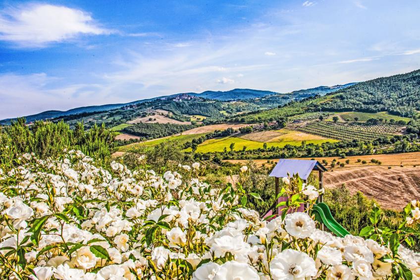 Agriturismo Belvedere delle Crete - foto 37