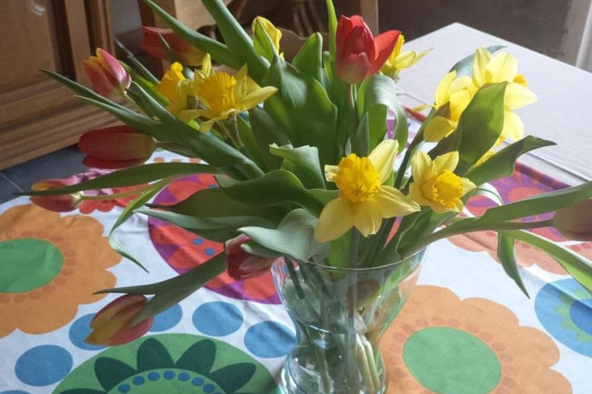 Ganzes Haus zur alleinigen Nutzung im Herzen des Zielonka-Waldes - foto 10