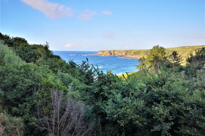 mit Blick auf das Wasser - foto 6