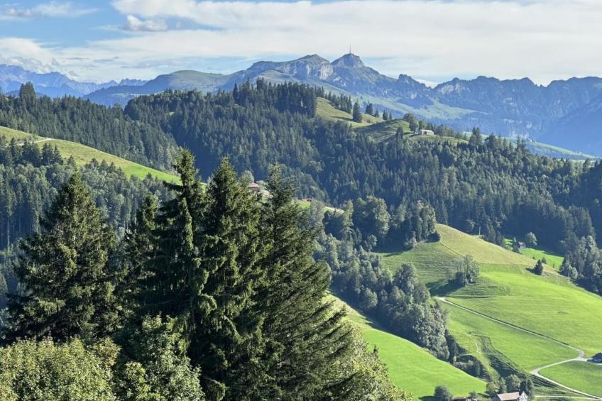 Allegra Appenzell - foto 5