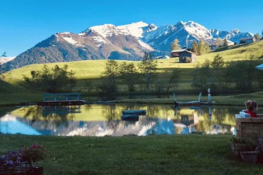 Casa Suvita _ Alpine Luxury Apartment - foto 22