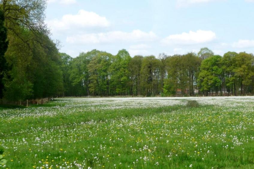 O'Hara Lodges - 6p - foto 17