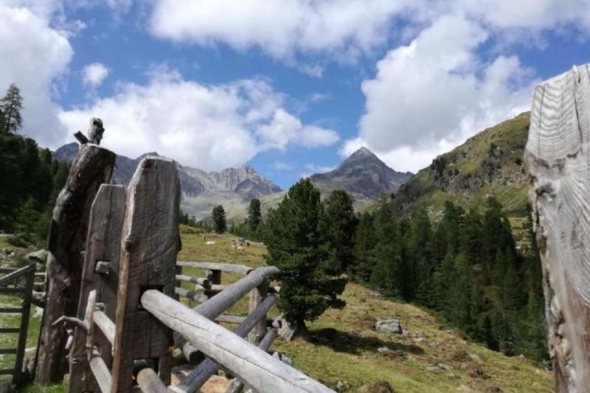 Charmantes Ferienhaus mit Whirlpool - foto 32