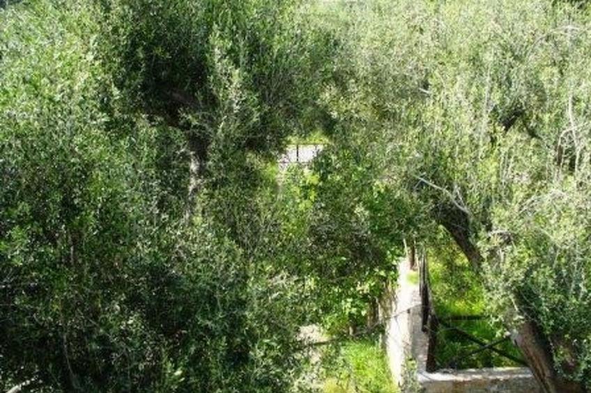 Appartement in Pisciotta mit Grill - foto 39