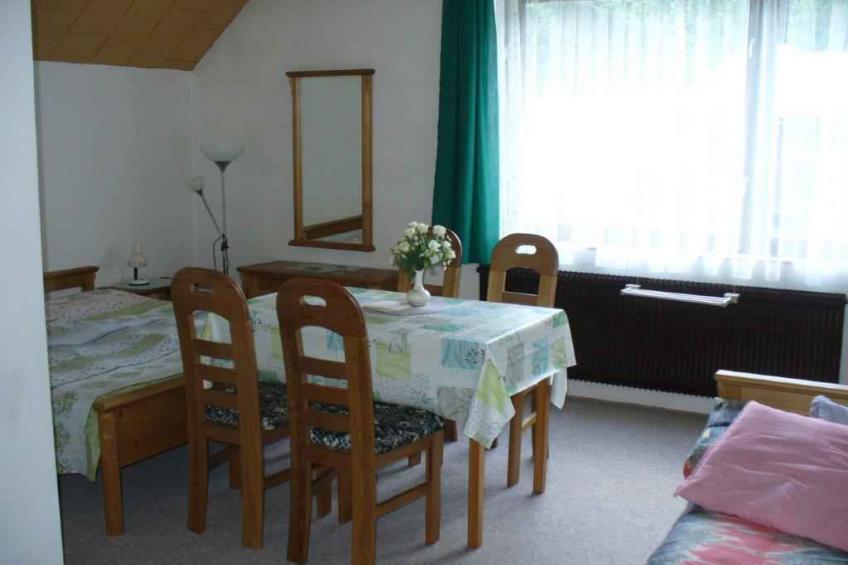 Vakantiewoning in het skigebied - VW-YCPK - foto 21