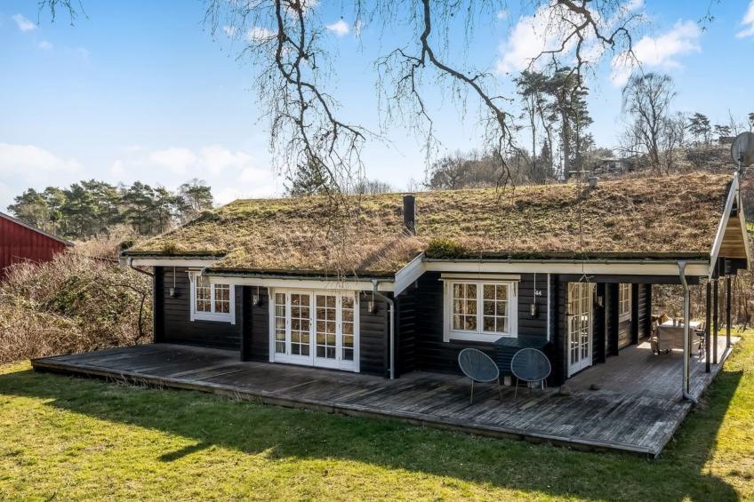 "Franka" -  from the sea - foto 4