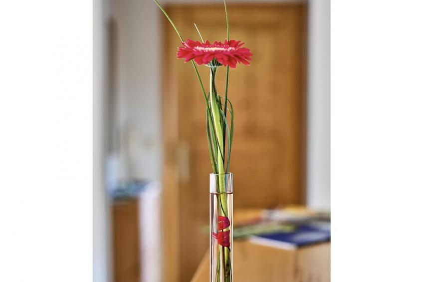 58967 - foto 17