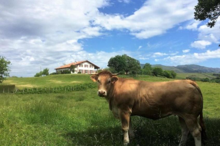 MONDARRAIN - foto 18