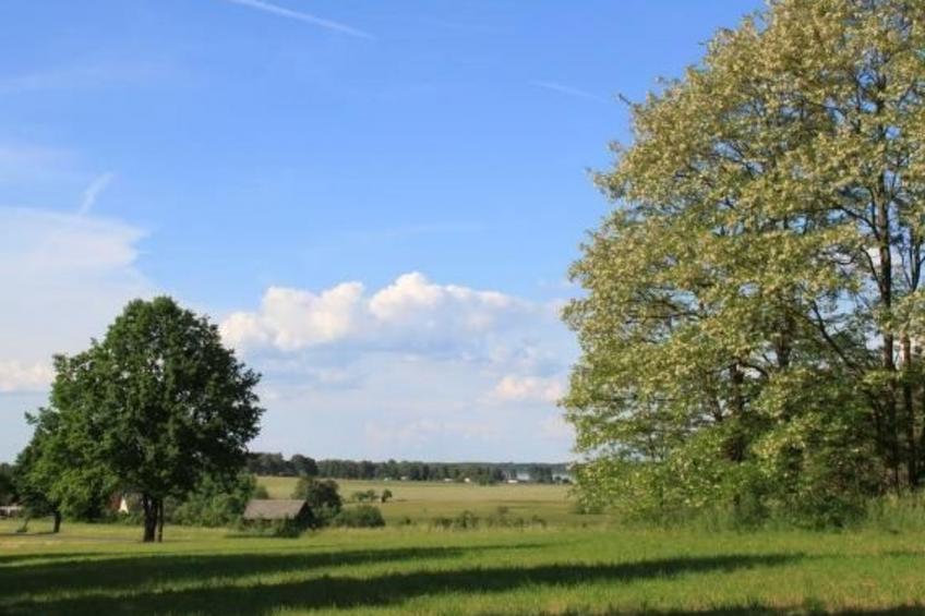 Haus am Feld 2 - foto 21