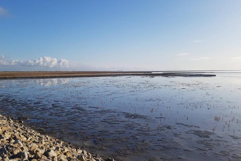 Ferienhaus Langeneß - foto 19