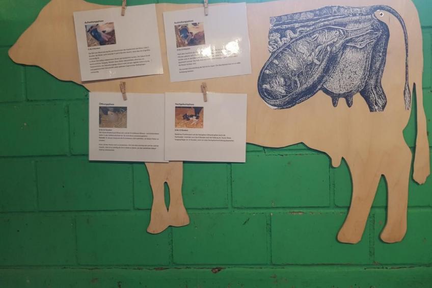 Ferien im Gugger - Wohnung Stockberg - foto 35