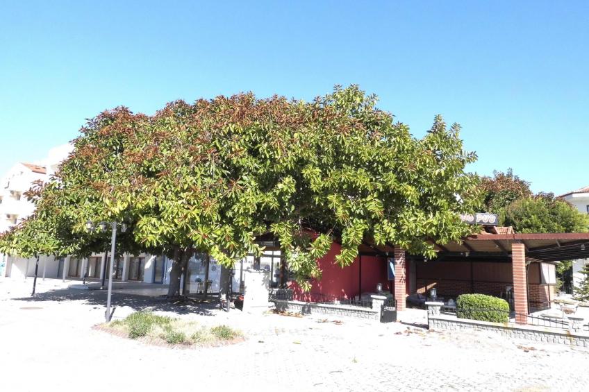 Strandnahe Ferienwohnung über zwei Etagen - foto 35