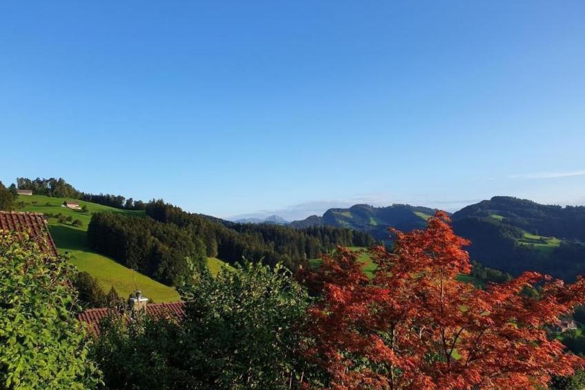 Chalet Traumfleck - foto 50