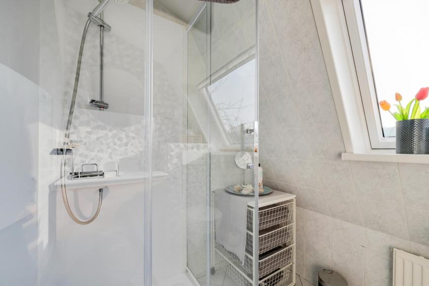 De Zilvermeeuw - foto 26