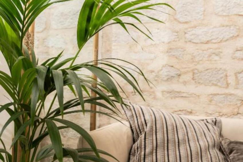 Double Room 8 - foto 2