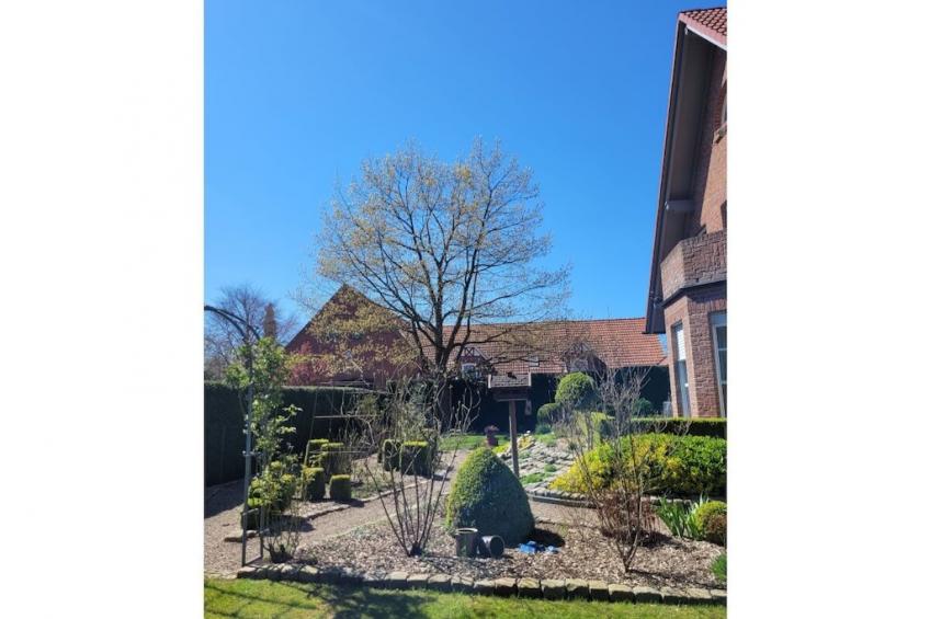 392648 - foto 3