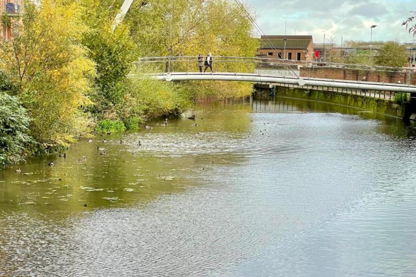 Mingle Dale - foto 28